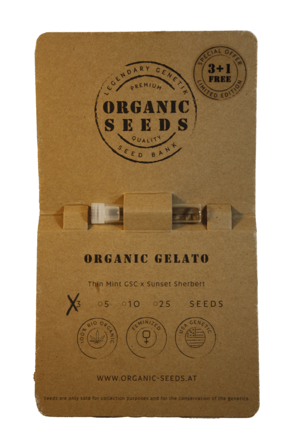 ORGANIC GELATO – Bild 2