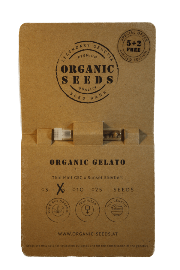 ORGANIC GELATO – Bild 3