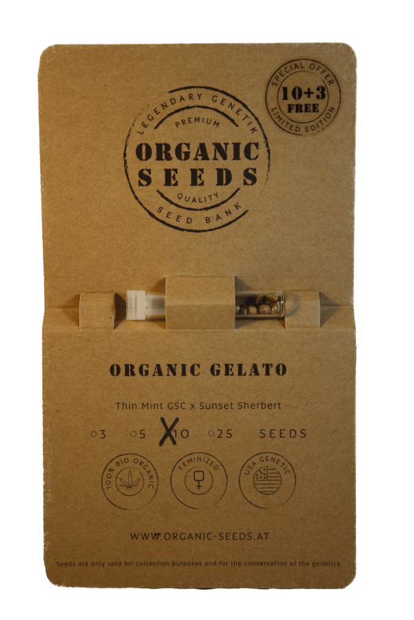 ORGANIC GELATO – Bild 4