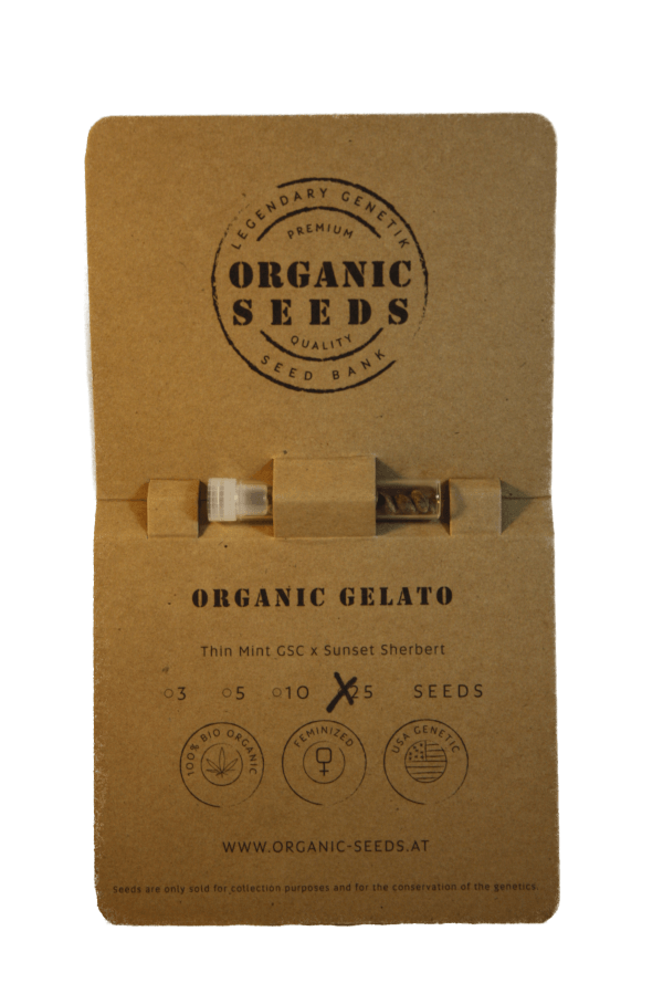 ORGANIC GELATO – Bild 5