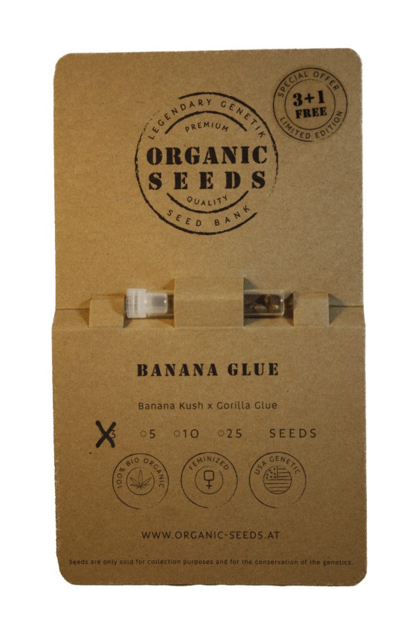 BANANA GLUE – Bild 2