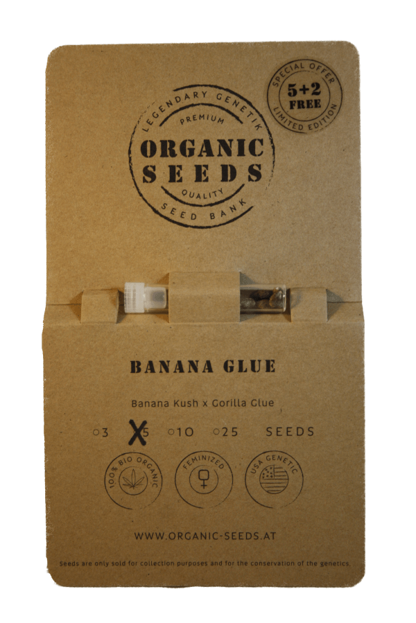 BANANA GLUE – Bild 3