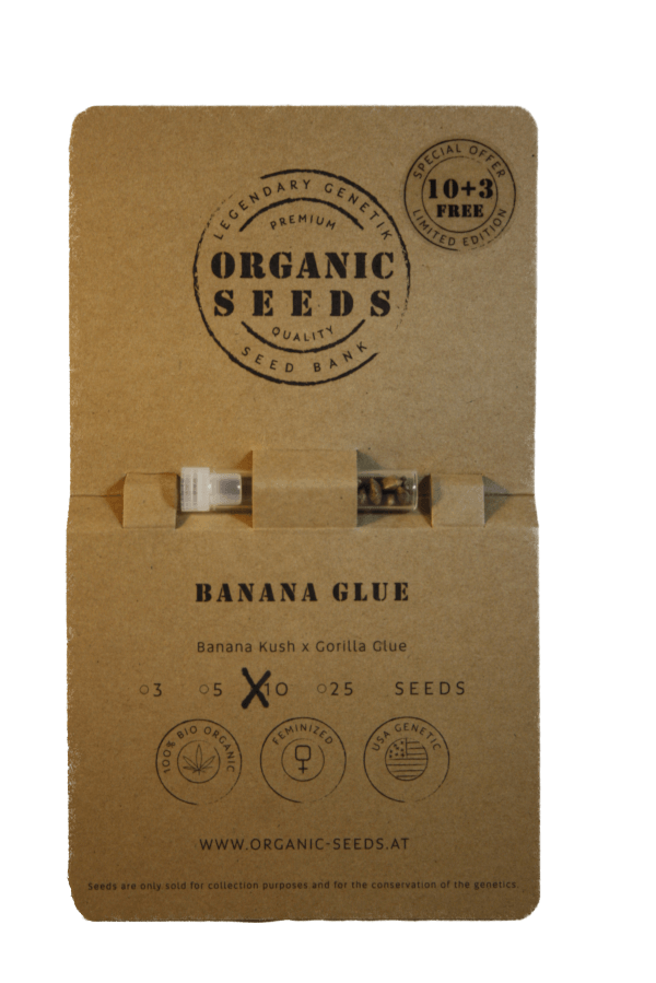 BANANA GLUE – Bild 4