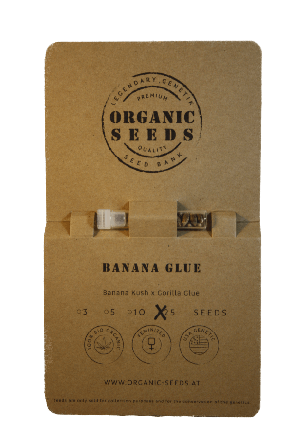 BANANA GLUE – Bild 5