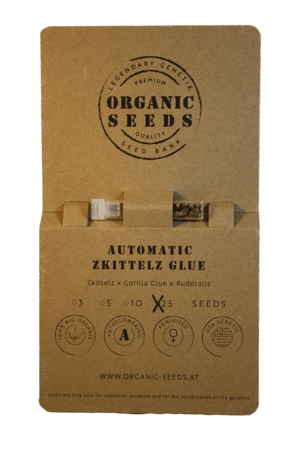 ZKITTLEZ GLUE Autoflowering – Bild 5