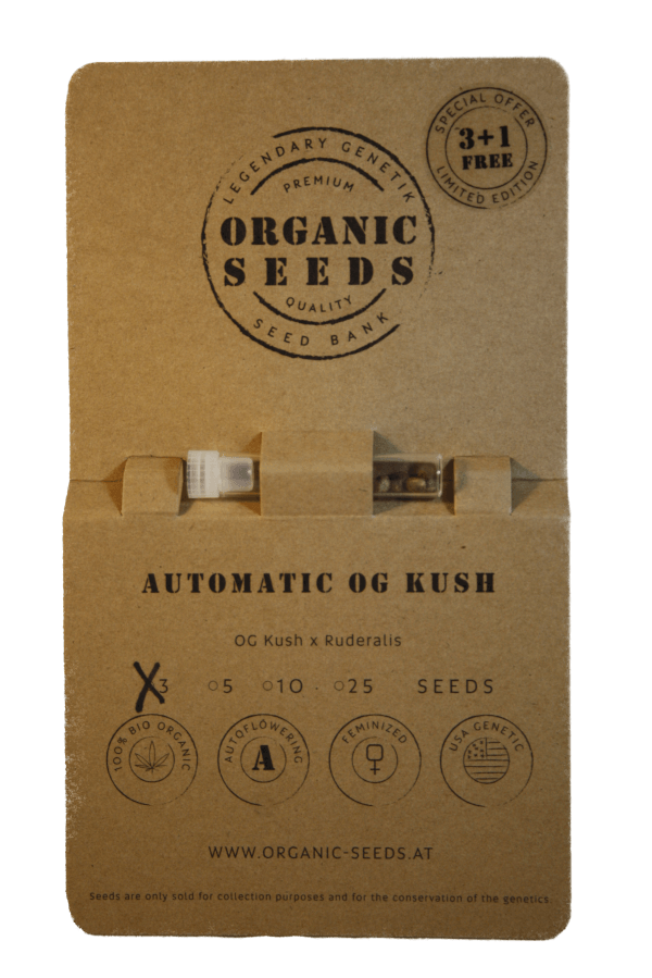 Autoflower OG KUSH – Bild 2