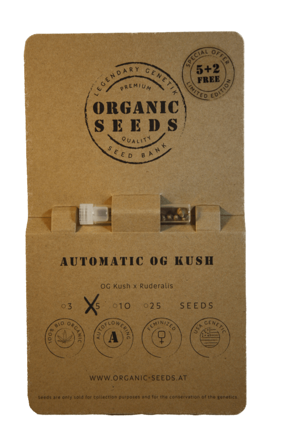 Autoflower OG KUSH – Bild 3