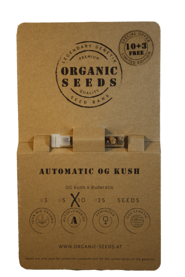 Autoflower OG KUSH – Bild 4