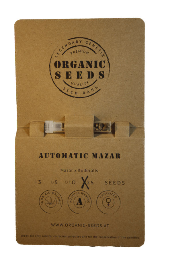 MAZAR Autoflowering – Bild 5