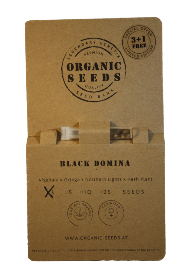 BLACK DOMINA – Bild 2