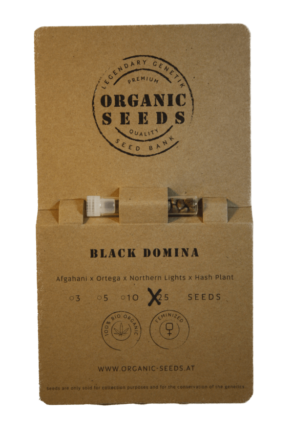 BLACK DOMINA – Bild 5
