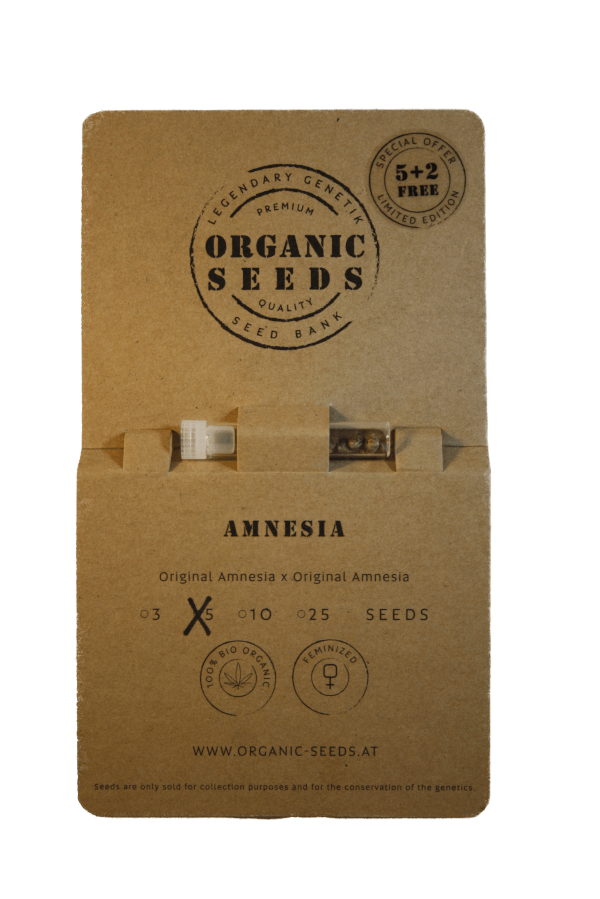 AMNESIA – Bild 3