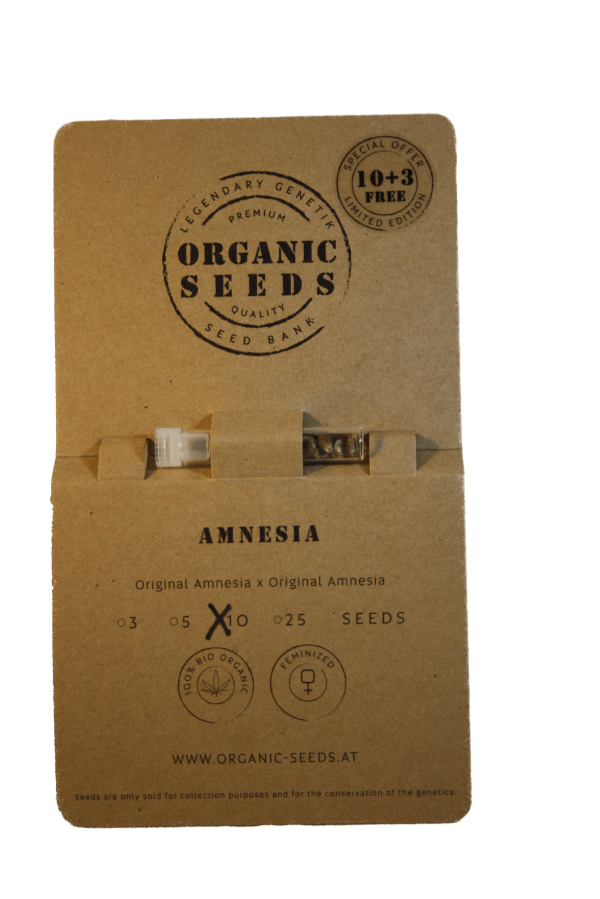 AMNESIA – Bild 4