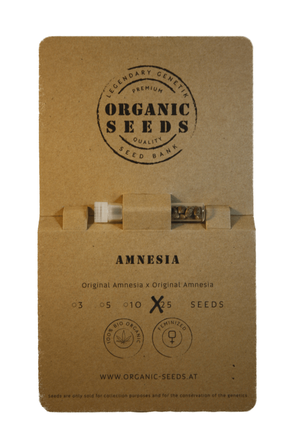 AMNESIA – Bild 5