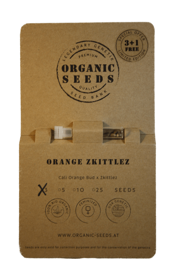 ORANGE ZKITTLEZ – Bild 2
