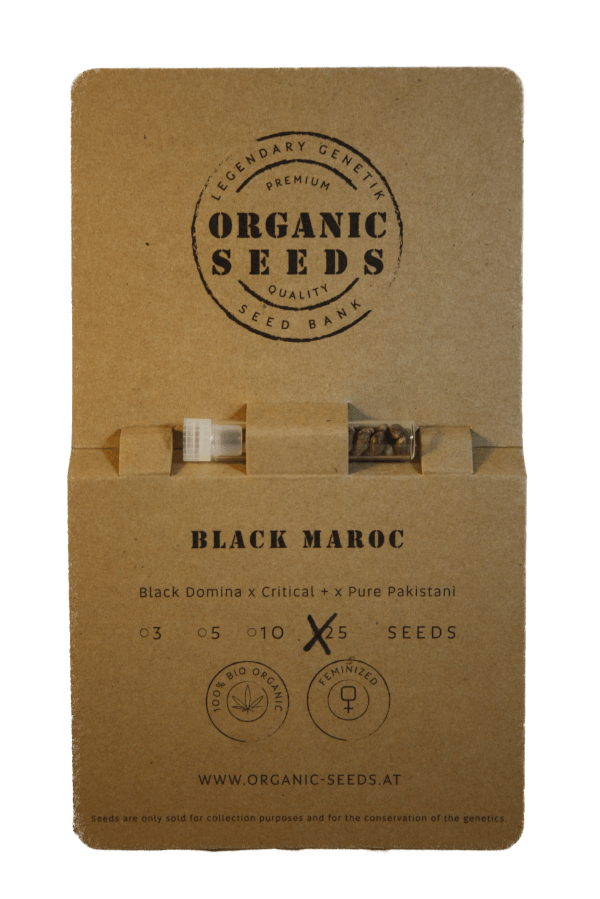 BLACK MAROC – Bild 5