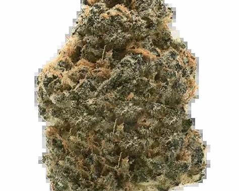 Auto Wedding Cake Cannabis Blüten mit Trichomen