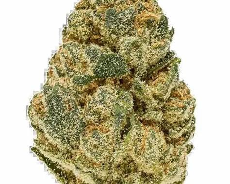 Auto Wedding Cake Cannabis Blüten mit Trichomen