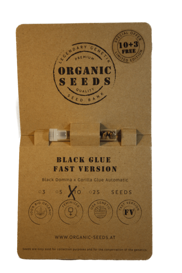 BLACK GLUE fast Version – Bild 4
