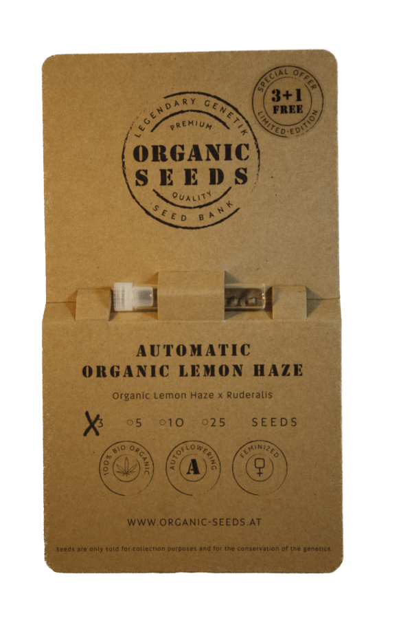 ORGANIC LEMON HAZE Autoflowering – Bild 2