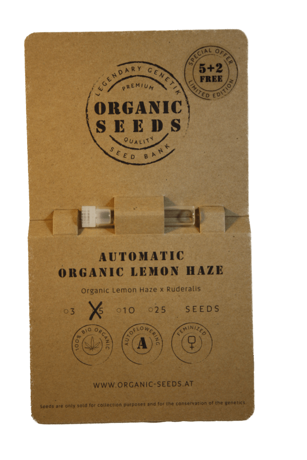 ORGANIC LEMON HAZE Autoflowering – Bild 3