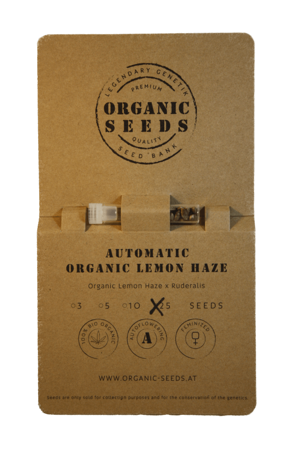 ORGANIC LEMON HAZE Autoflowering – Bild 5