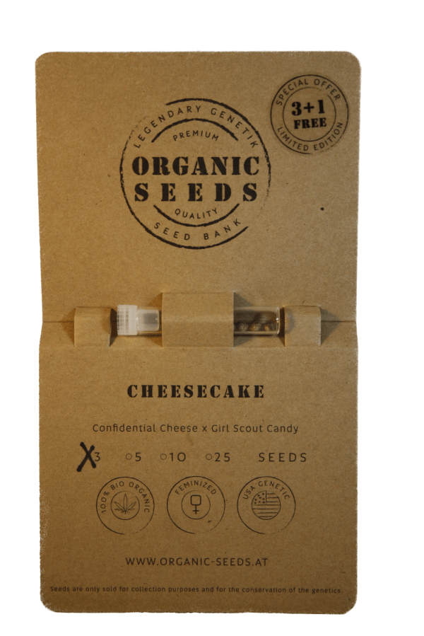 CHEESECAKE – Bild 2