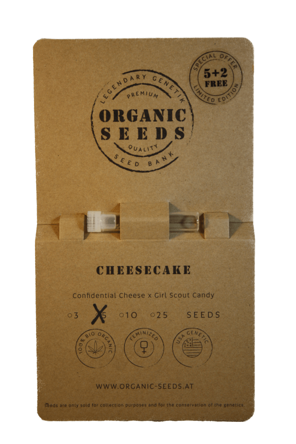 CHEESECAKE – Bild 3