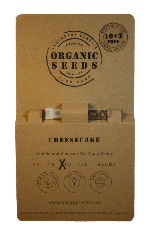 CHEESECAKE – Bild 4
