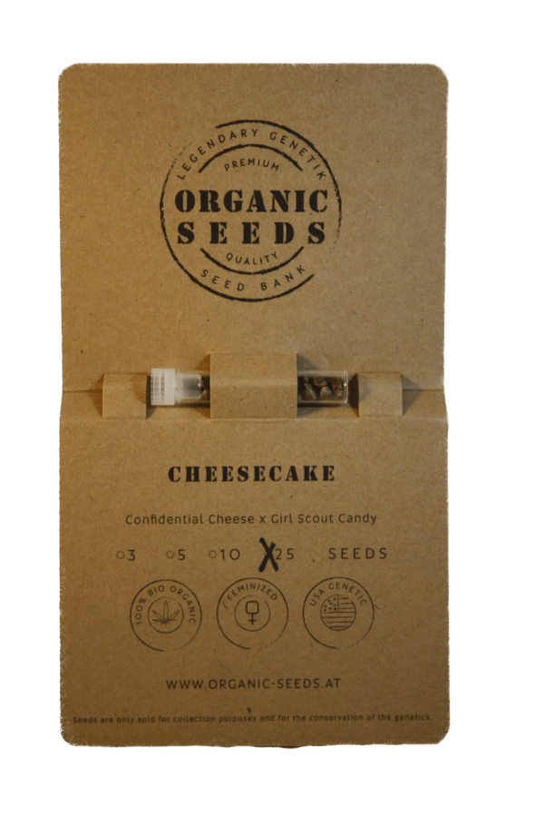 CHEESECAKE – Bild 5