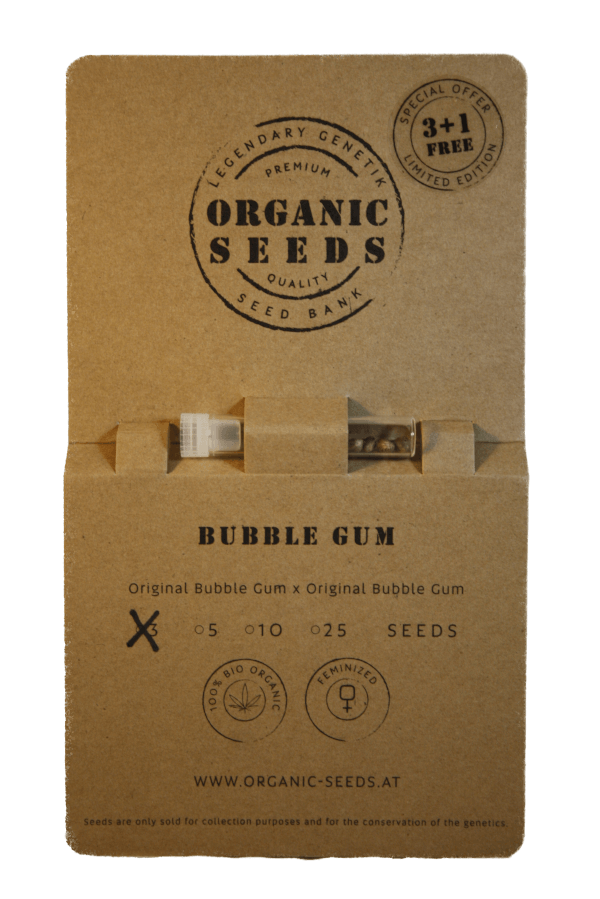 BUBBLE GUM – Bild 2