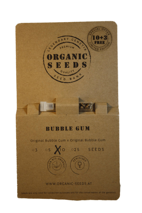 BUBBLE GUM – Bild 4