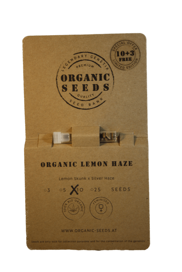 ORGANIC LEMON HAZE – Bild 4