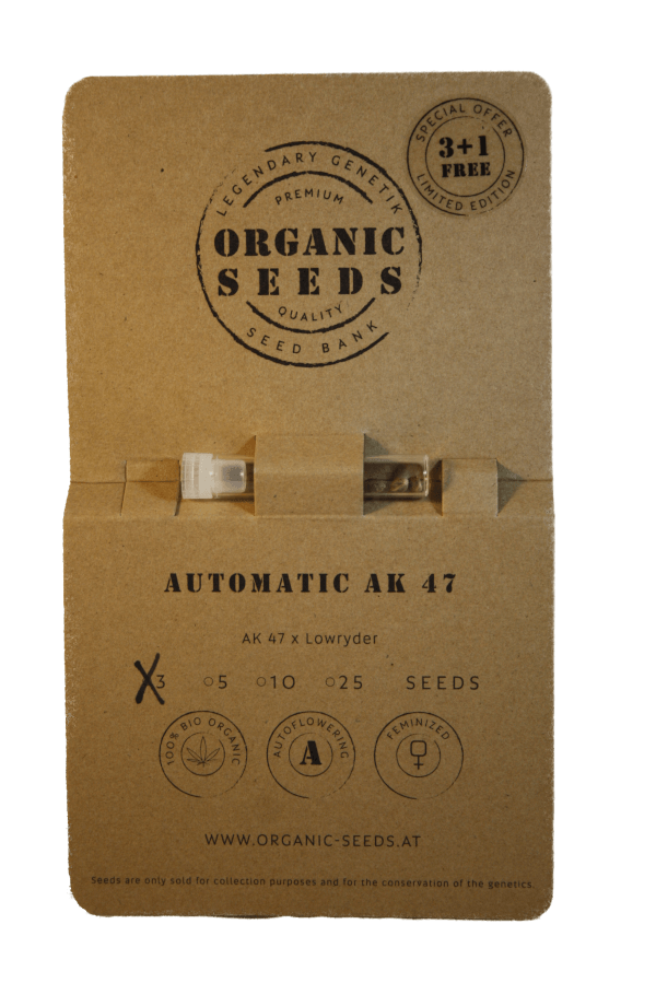 AK47 Autoflowering – Bild 2