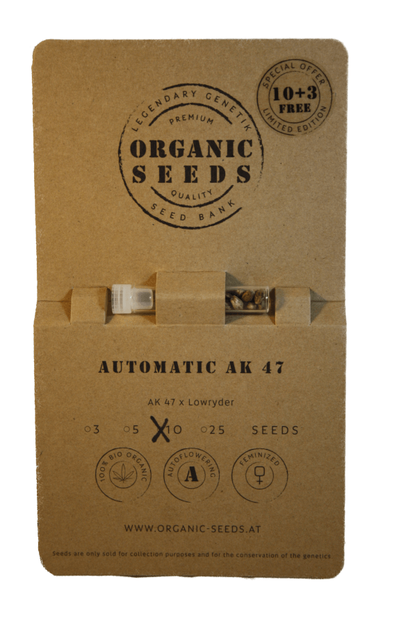 AK47 Autoflowering – Bild 4