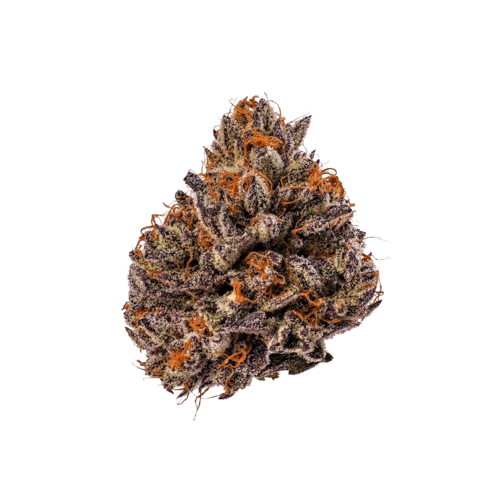 TROPICANA CHERRY TRIPLOID F1 – Bild 2